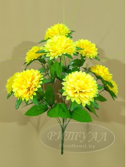 ПАНДА