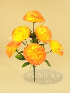 Гвоздика СИЕНА