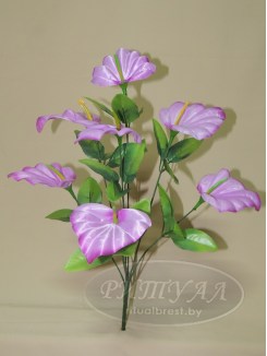 СЕЛЬВА