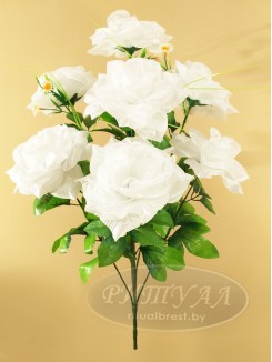 Роза БОНА