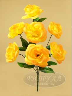 Роза БОКЕР 2