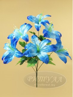 Лилия КОРСИКА-20