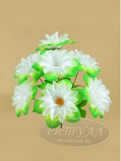 Крокус КОРСА-20