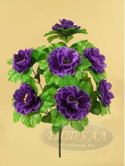 Шиповник САНТЬЯГО