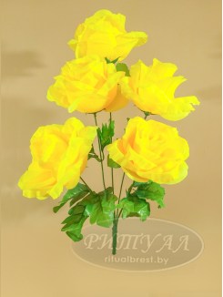 Роза НИЦЦА