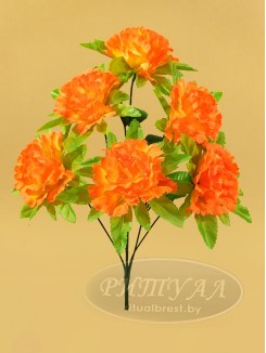 Гвоздика АМЕЛИЯ