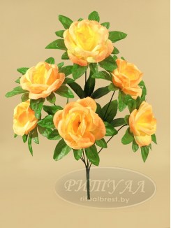 Роза ЭЛИАНА-20