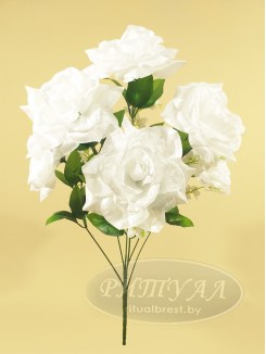 Роза ЭВЕРЕСТ