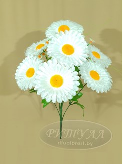 РОМАС