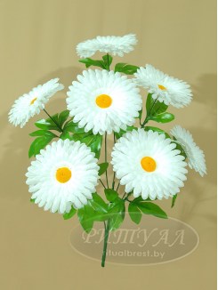 РАЯ