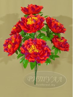 ПАВЛИН