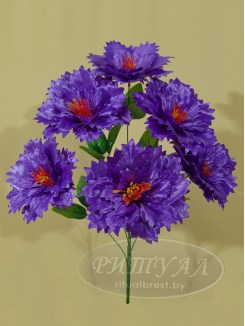 ВЕНЕРА