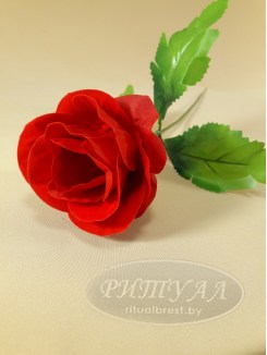 Роза бутон бархат